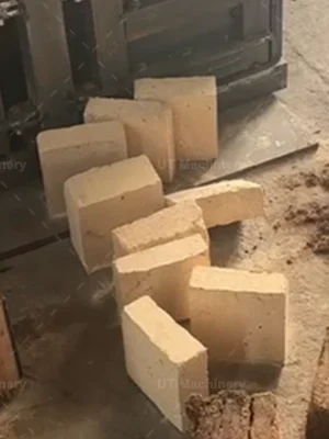 High density compressed coco peat blocks showing uniform shape and proper moisture control after briquetting